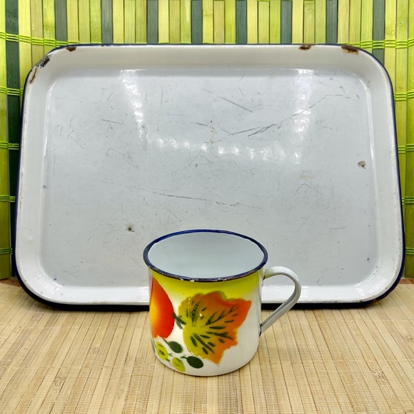White Enamelware Medical Dental Tray Fruit Motif Cup Navy Blue Trim Marriage